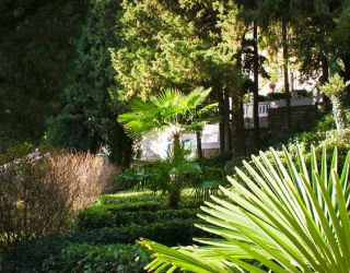 Отель "Море СПА Резорт" / "More SPA & Resort"