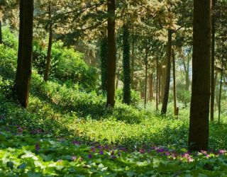 Отель "Море СПА Резорт" / "More SPA & Resort"