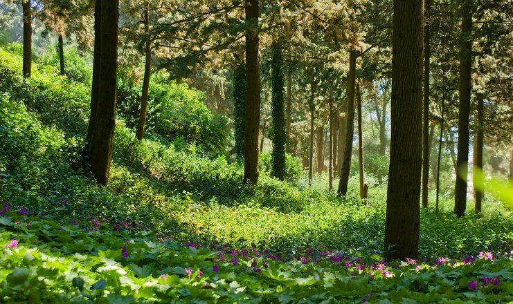 Отель "Море СПА Резорт" / "More SPA & Resort"